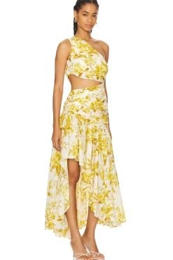 Women Zimmermann Dresses>Golden Asymmetric Dress