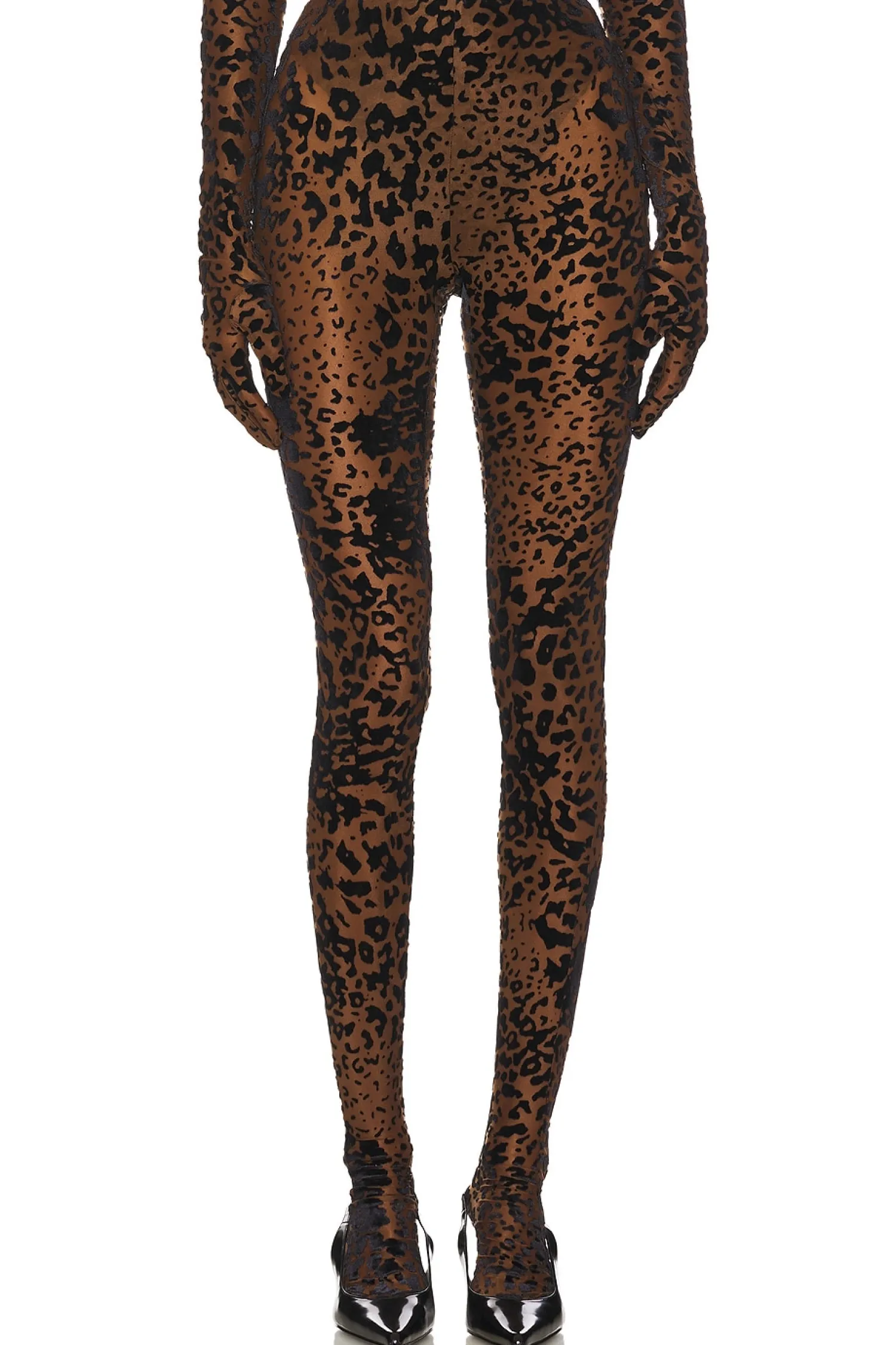 Women Alex Perry Pants>Leopard Burnout Mesh Stocking