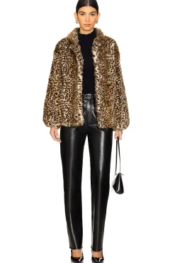 Women HEARTLOOM Jackets & Coats><noscript><img width=