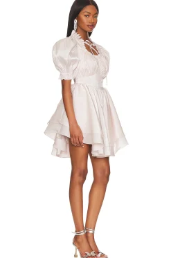 Women Selkie Dresses>The Portrait of A Lady Dress